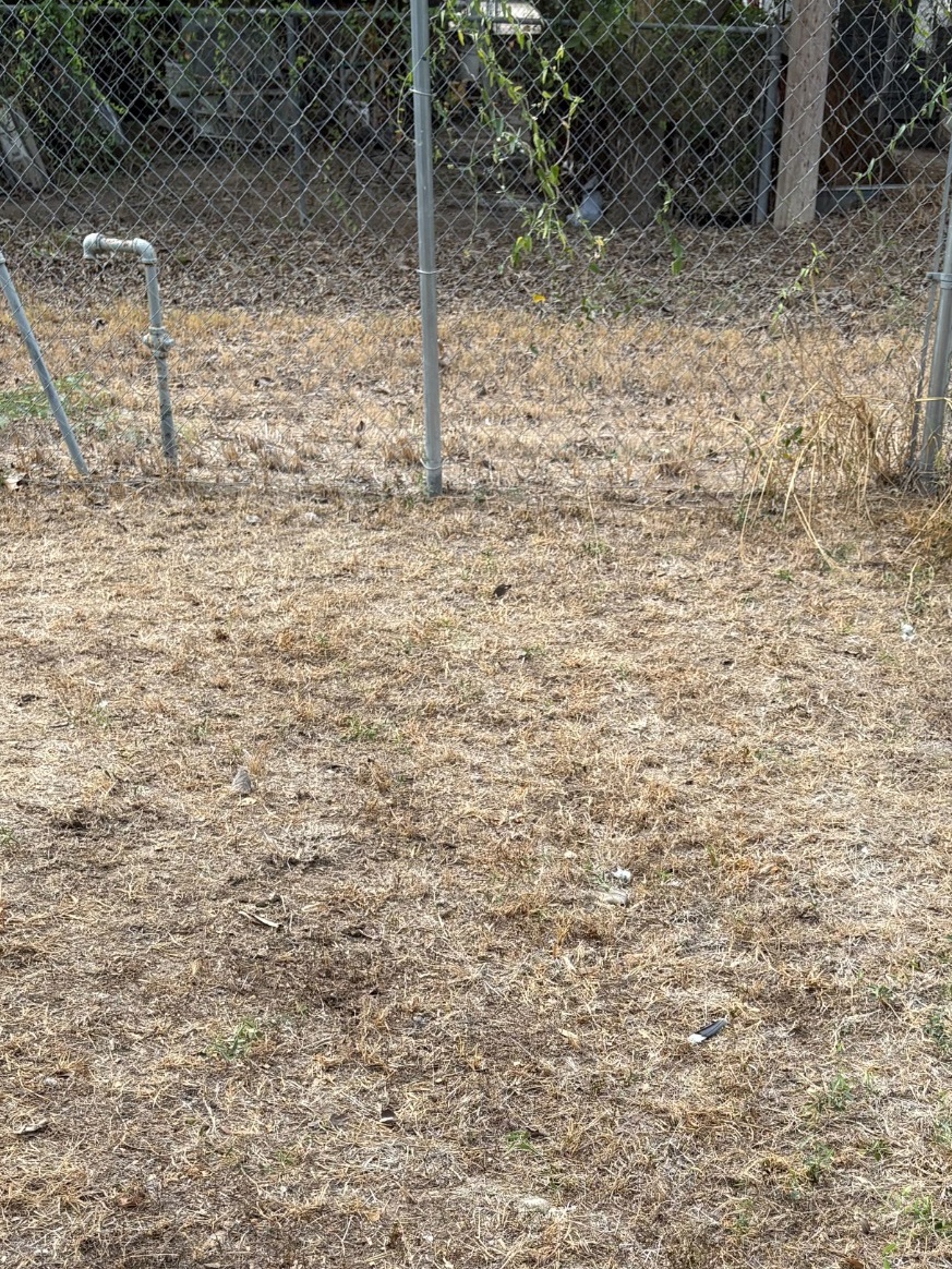 The same backyard cleared of dog waste after a Ground Patrol cleanup